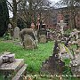 . : Fotos L35 75 16 Mar 2017