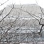 . : Fotos L4 75 28 Feb  2017