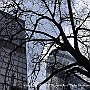 . : Fotos L4 75 28 Feb  2017