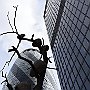. : Fotos L4 75 28 Feb  2017