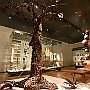 . : Fotos L22 75 9 mar 2017