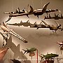 . : Fotos L22 75 9 mar 2017