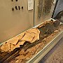 . : Fotos L10 75 3 Mar 2017