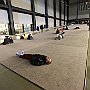 . : Fotos L12 75 3 Mar 2017