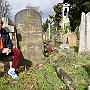 . : Fotos L15 75 5 Mar 2017