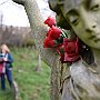 . : Fotos L15 75 5 Mar 2017