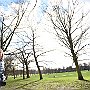 . : Fotos L18  75 Mar 2017
