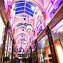 . : Fotos L2 75 27 Feb 2017