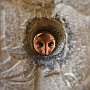 . : Fotos L22 75 9 mar 2017