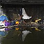 . : Fotos L27 11 Mar 2017
