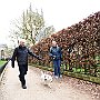 . : Fotos L35 75 16 Mar 2017