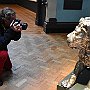 . : Fotos L7 1 Mar 2017
