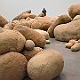 . : Fotos L8 75 2 Mar 2017
