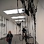 . : Fotos L8 75 2 Mar 2017