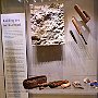 . : Fotos L10 75 3 Mar 2017