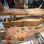 . : Fotos L10 75 3 Mar 2017