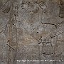 . : Fotos L10 75 3 Mar 2017