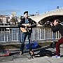 . : Fotos L31 12 Mar 2017