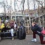 . : Fotos L8 75 2 Mar 2017