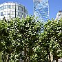 DSC 4704