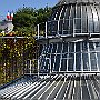DSC 5029