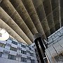 DSC 5272