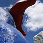 DSC 5288