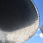 DSC 5314