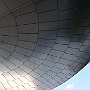 DSC 5317