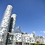 DSC 5330