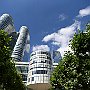 DSC 5348