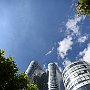DSC 5352