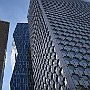 DSC 5354