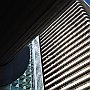 DSC 5360