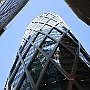 DSC 5379