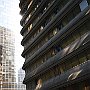 DSC 5386