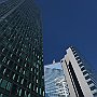 DSC 5393