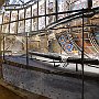 DSC 5883