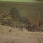 DSC 5114