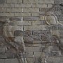 DSC 5121
