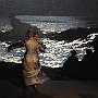 Fotos P10 29 Jun 2018 007