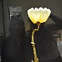 Fotos P10 29 Jun 2018 213