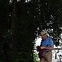 DSC 4557