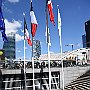 DSC 4652