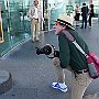 DSC 4684
