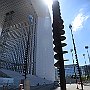 DSC 5215