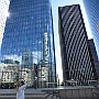 DSC 5341