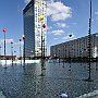 DSC 5396