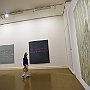 DSC 5559