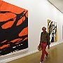 DSC 5560